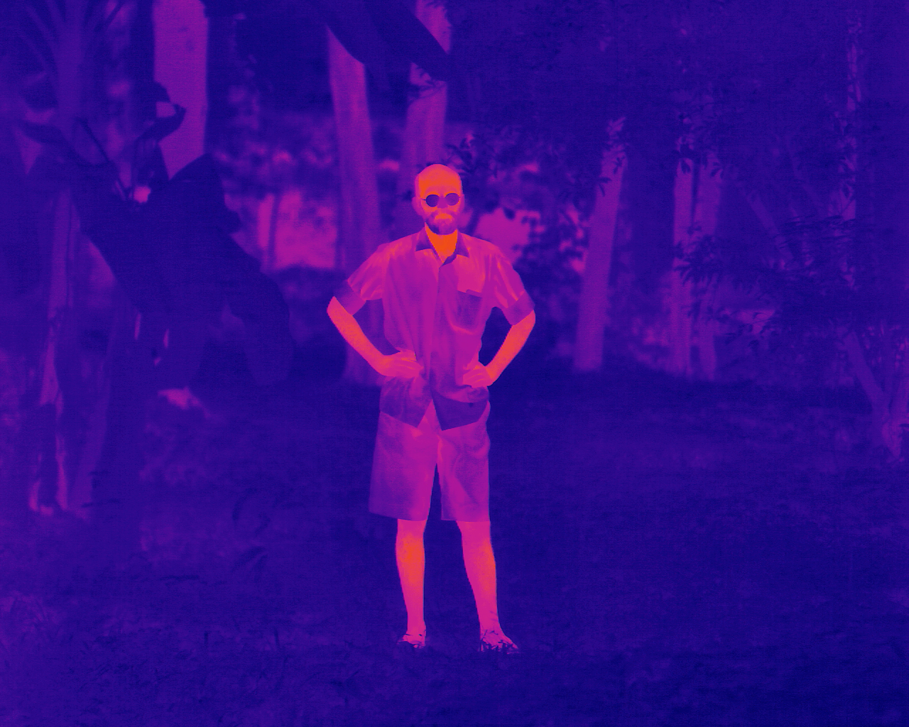 Thermal camera view 2 — component B temperature map