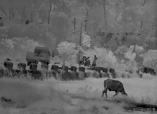 Thermal camera view 4 — hotspot detail